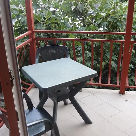 Danijela Appartement Tribalj
